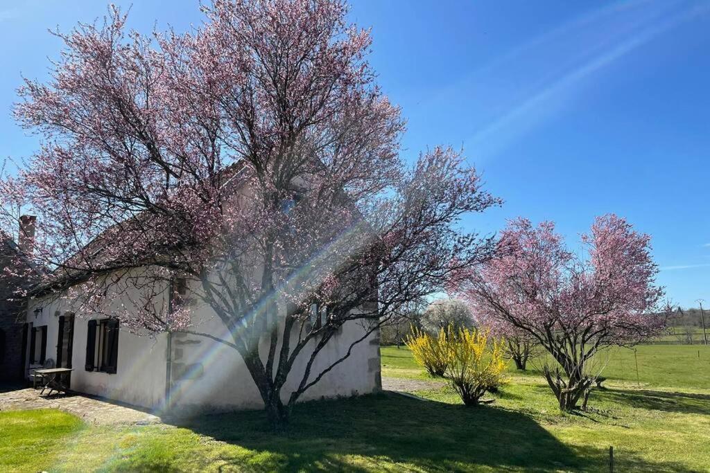 Gîte de la Fontaine salée Diancey Exterior foto